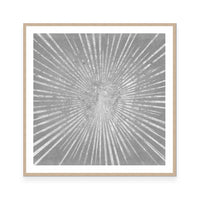 Silver Sunburst