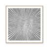 Silver Sunburst