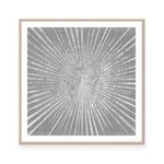 Silver Sunburst