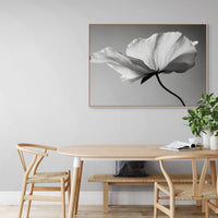 Soft Petal Dance | Framed Canvas
