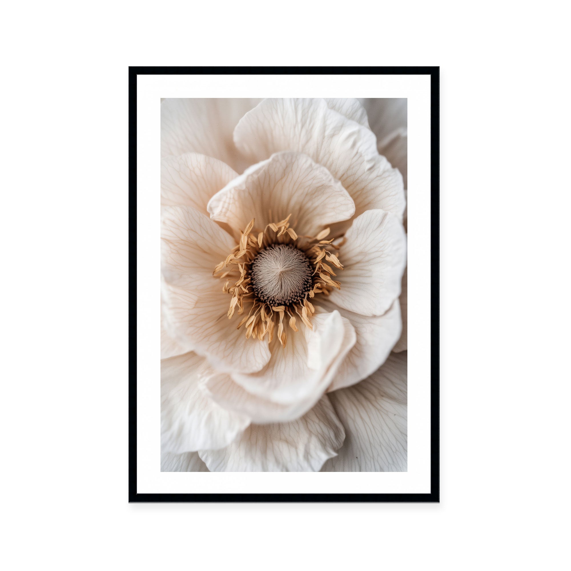 Soft Petal Dreams