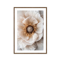 Soft Petal Dreams