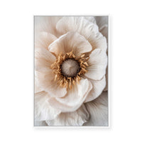 Soft Petal Dreams | Framed Canvas