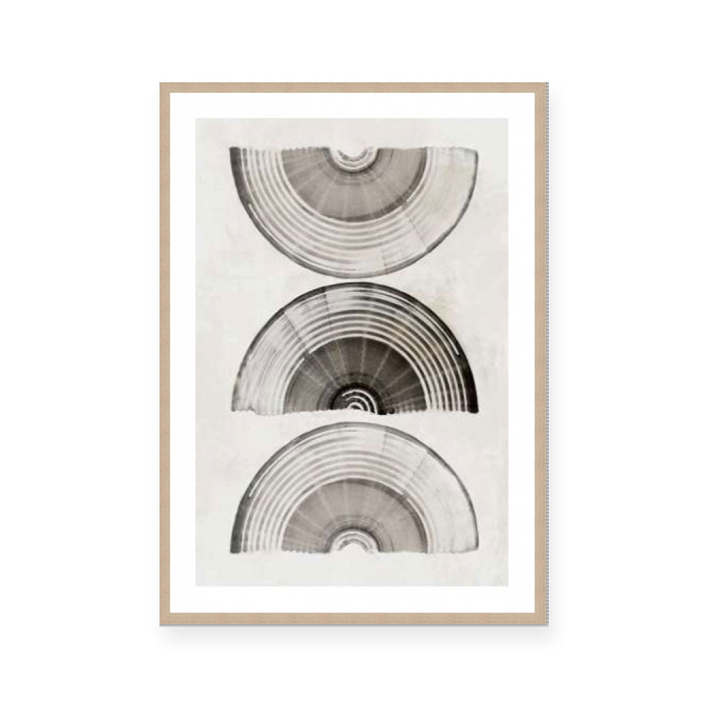 Sophisticatted Lines I