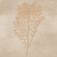 Subtle Botanical Impression