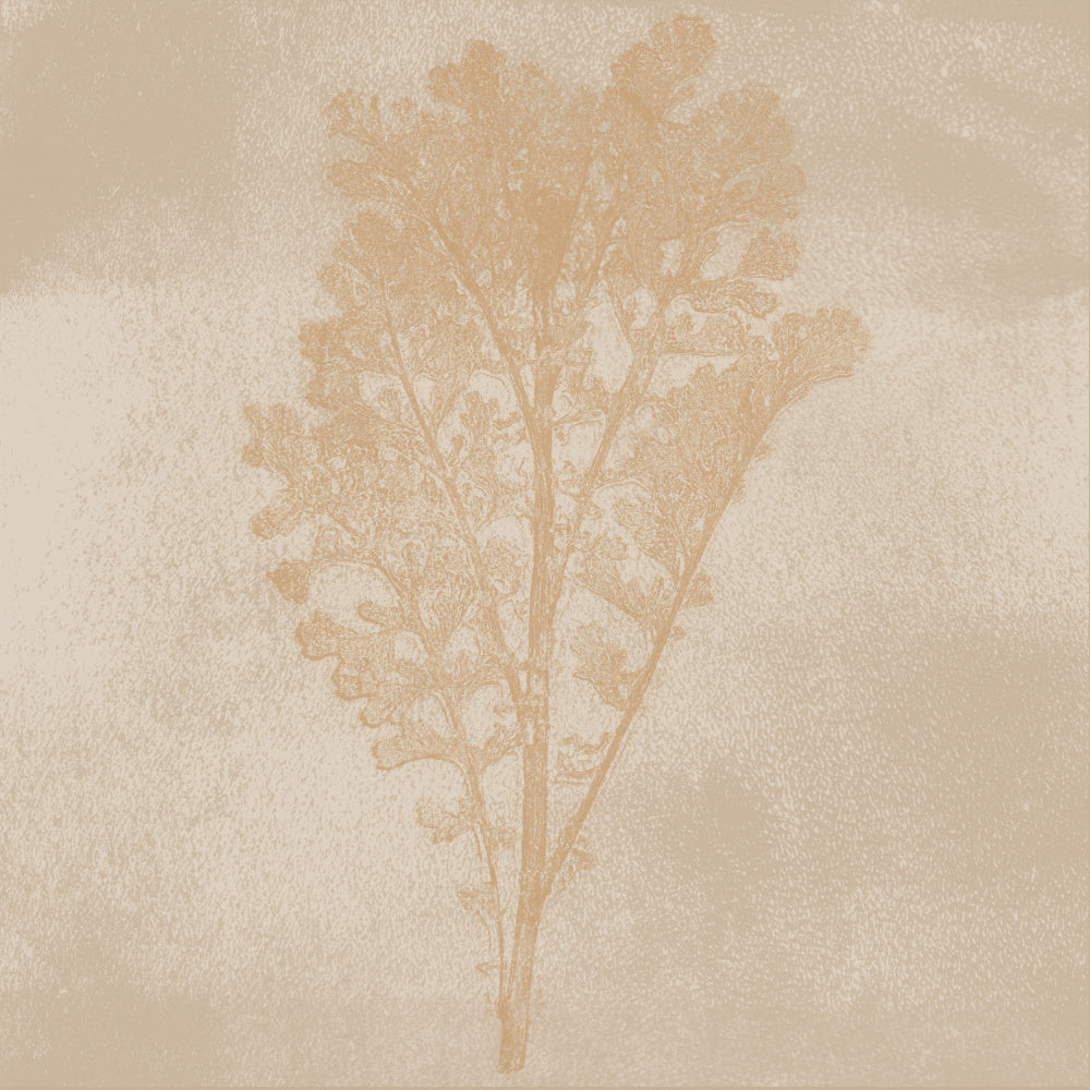 Subtle Botanical Impression