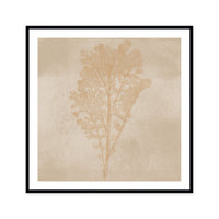 Subtle Botanical Impression