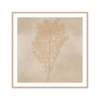 Subtle Botanical Impression