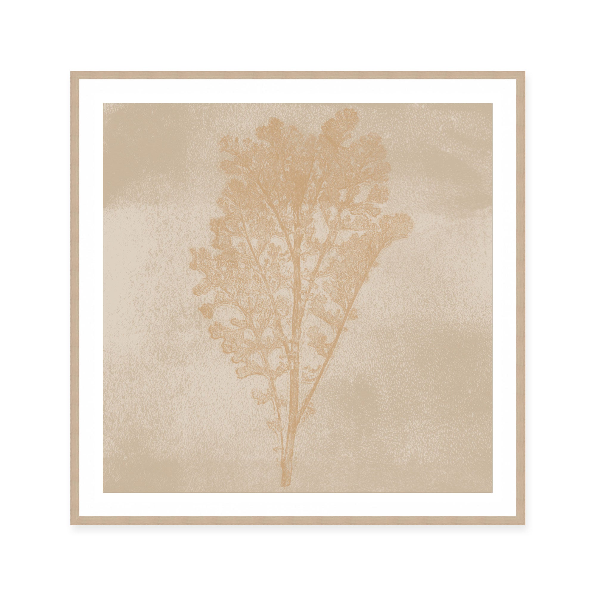 Subtle Botanical Impression