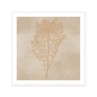 Subtle Botanical Impression