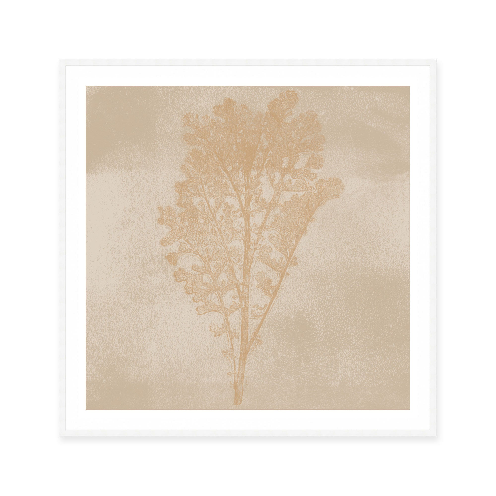 Subtle Botanical Impression