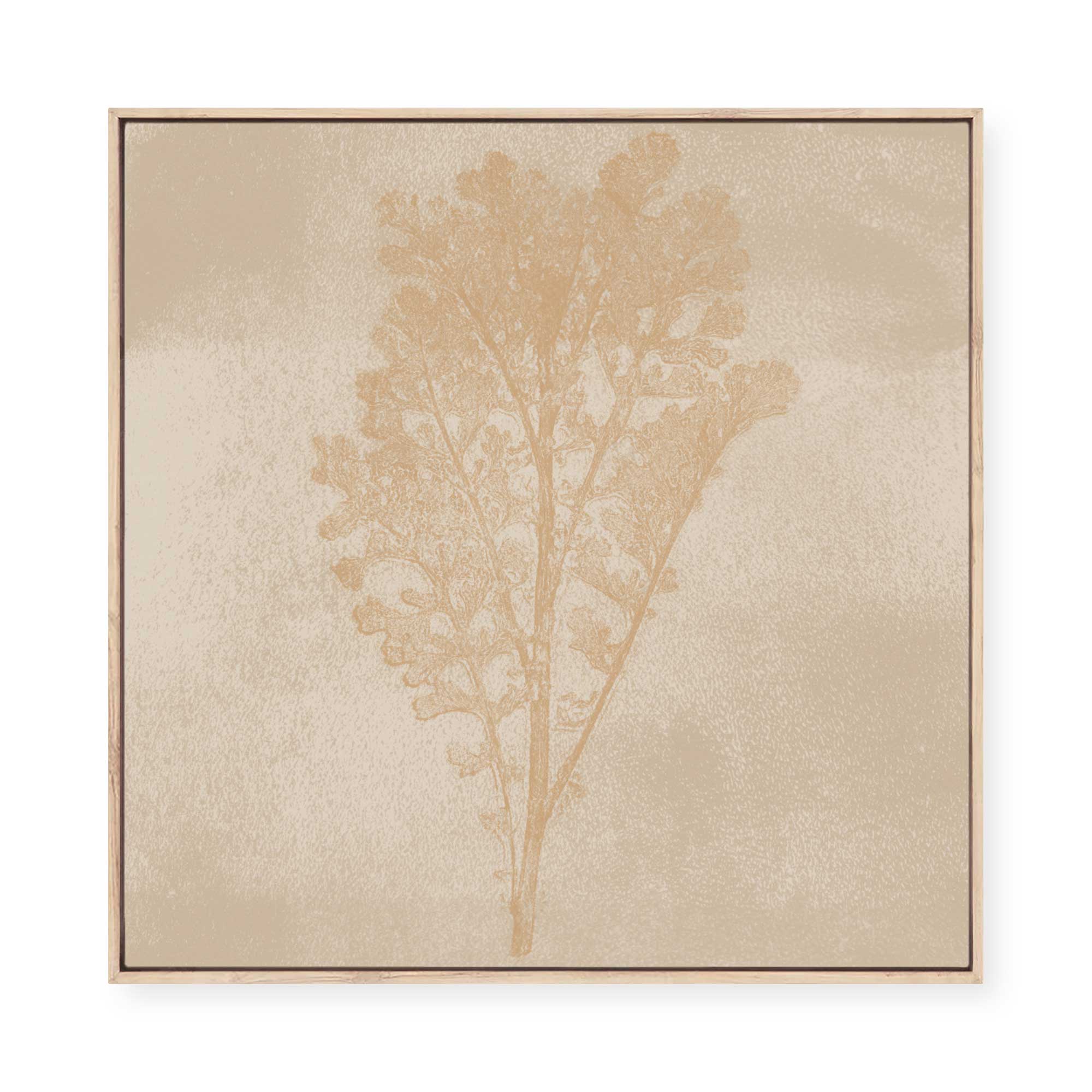 Subtle Botanical Impression | Framed Canvas