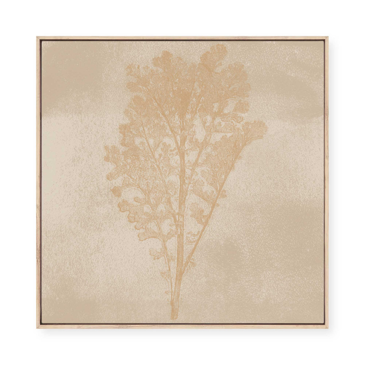 Subtle Botanical Impression | Framed Canvas