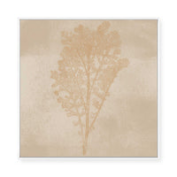 Subtle Botanical Impression | Framed Canvas