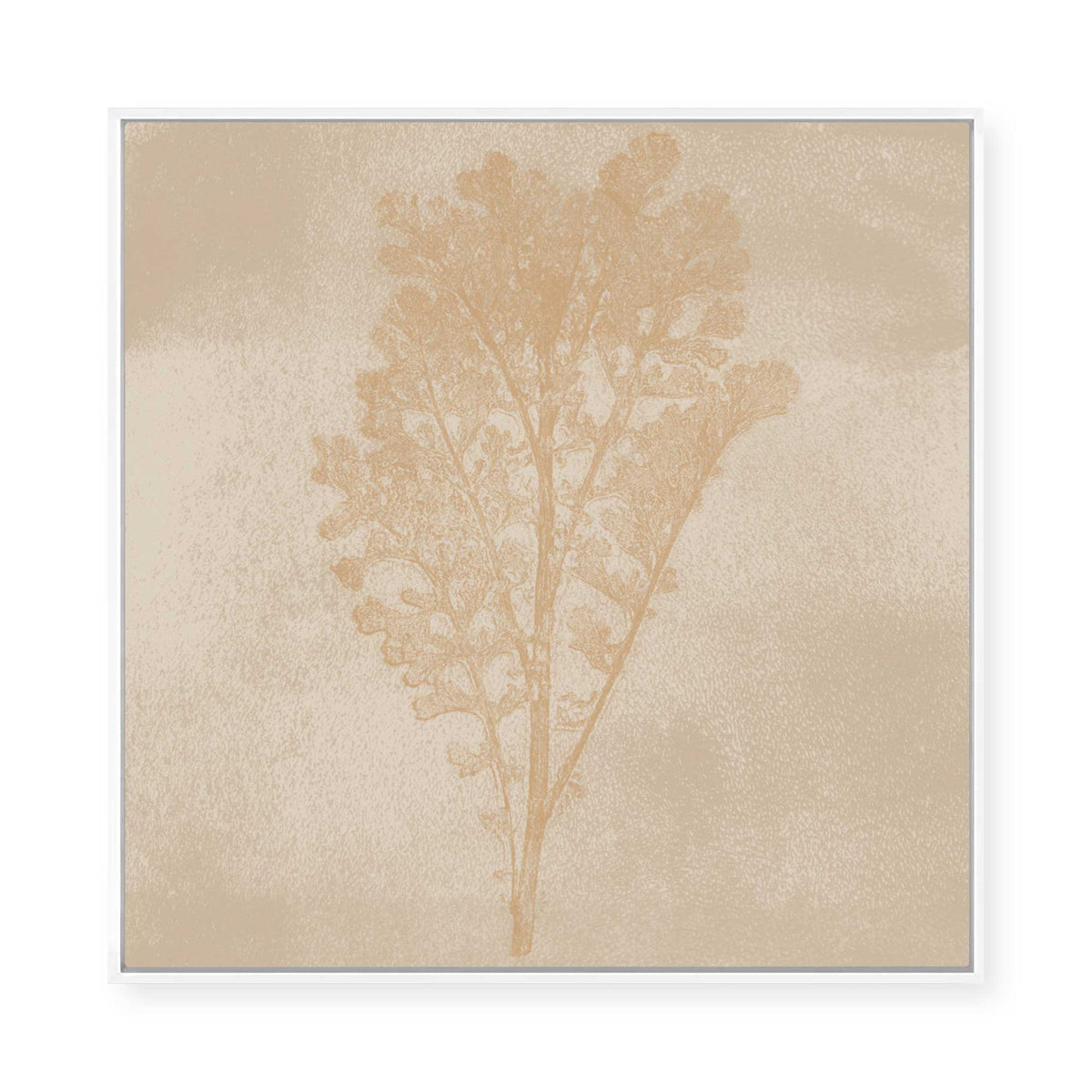 Subtle Botanical Impression | Framed Canvas