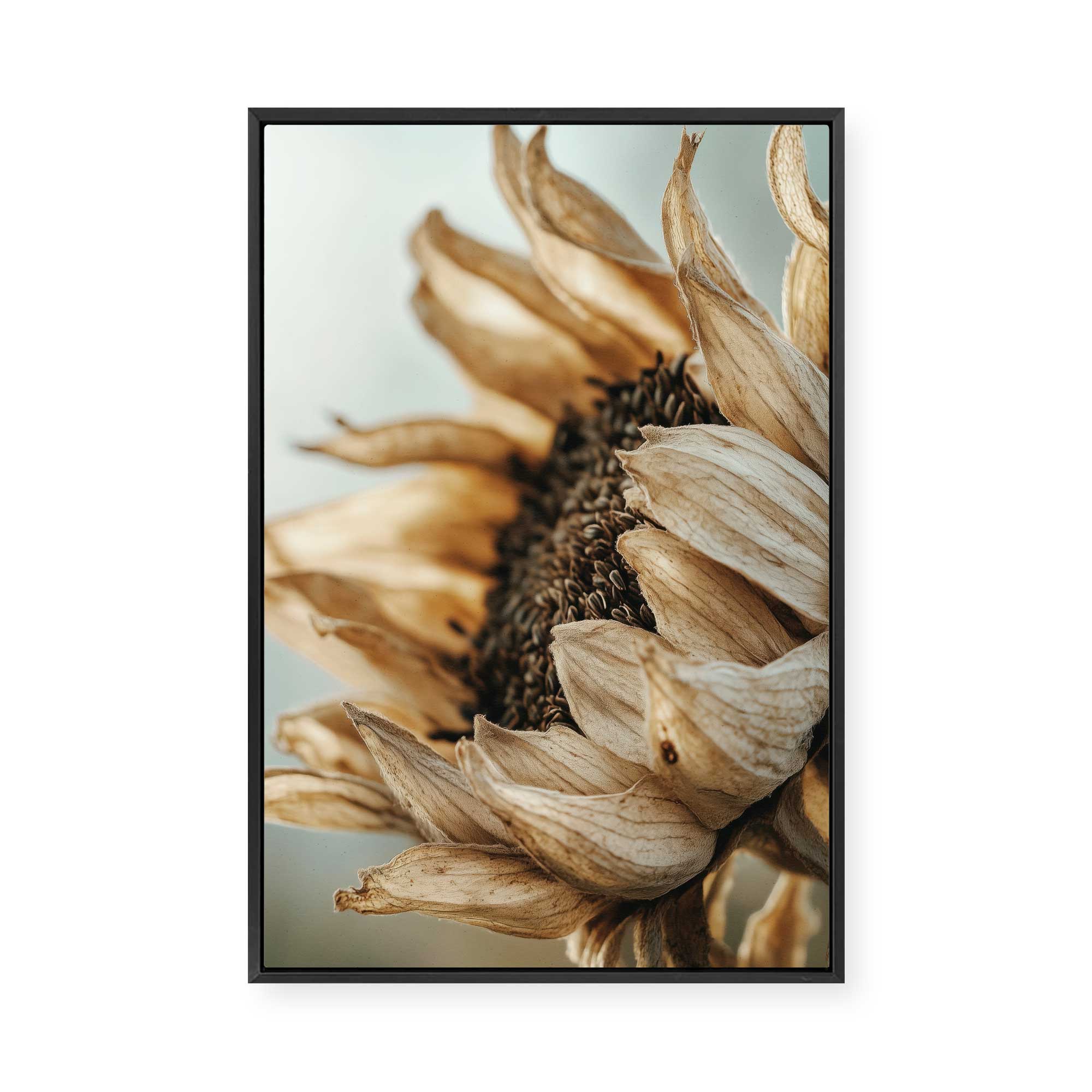 Sunflowers | Framed Canvas