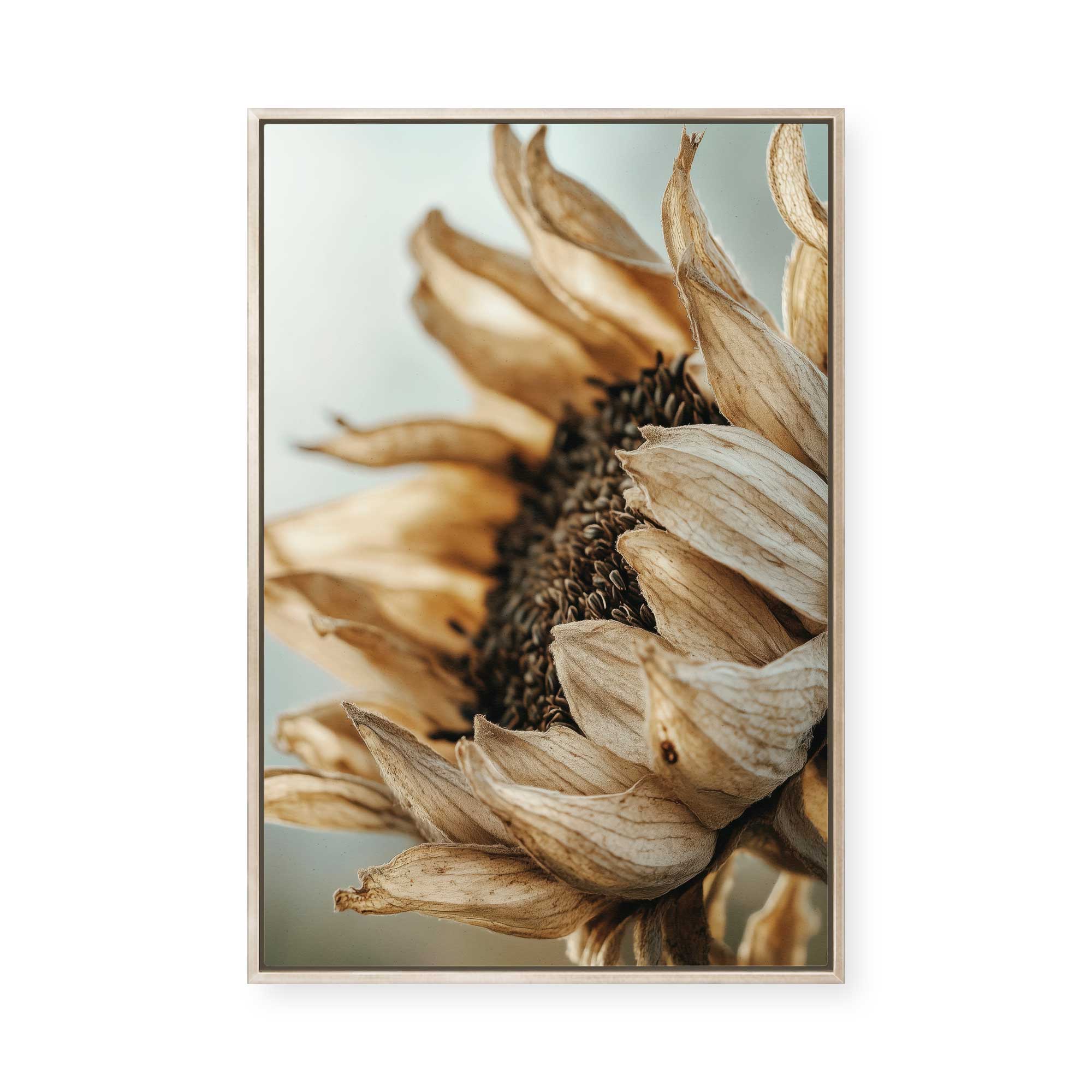 Sunflowers | Framed Canvas