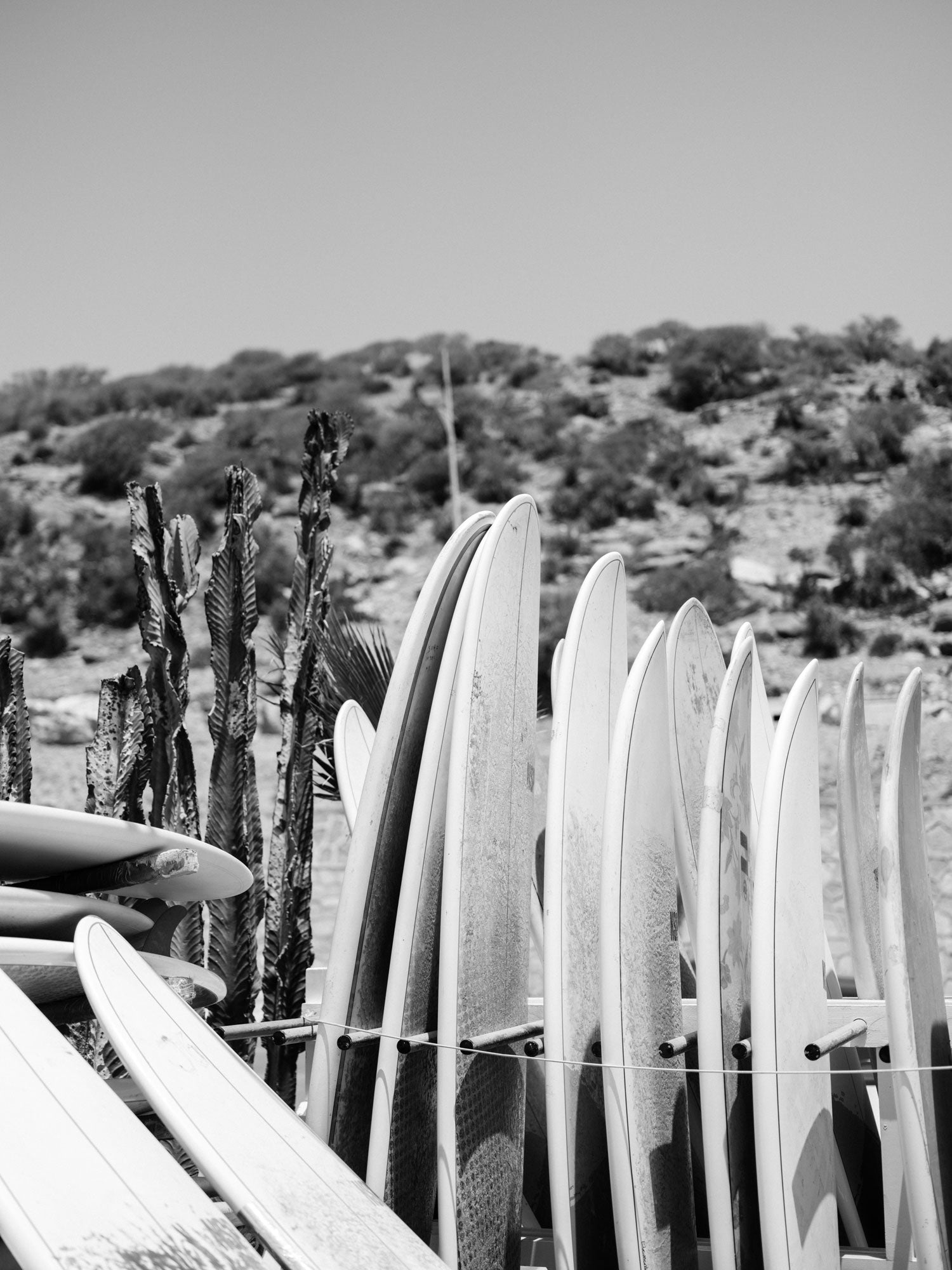 Surf Stack