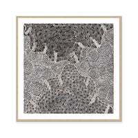 Watiya-Warnu Jukurrpa (Seed Dreaming) No.2