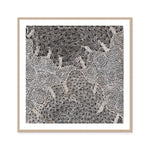 Watiya-Warnu Jukurrpa (Seed Dreaming) No.2