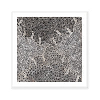 Watiya-Warnu Jukurrpa (Seed Dreaming) No.2