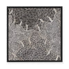 Watiya-Warnu Jukurrpa (Seed Dreaming) No.2 | Framed Canvas Print