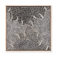 Watiya-Warnu Jukurrpa (Seed Dreaming) No.2 | Framed Canvas Print