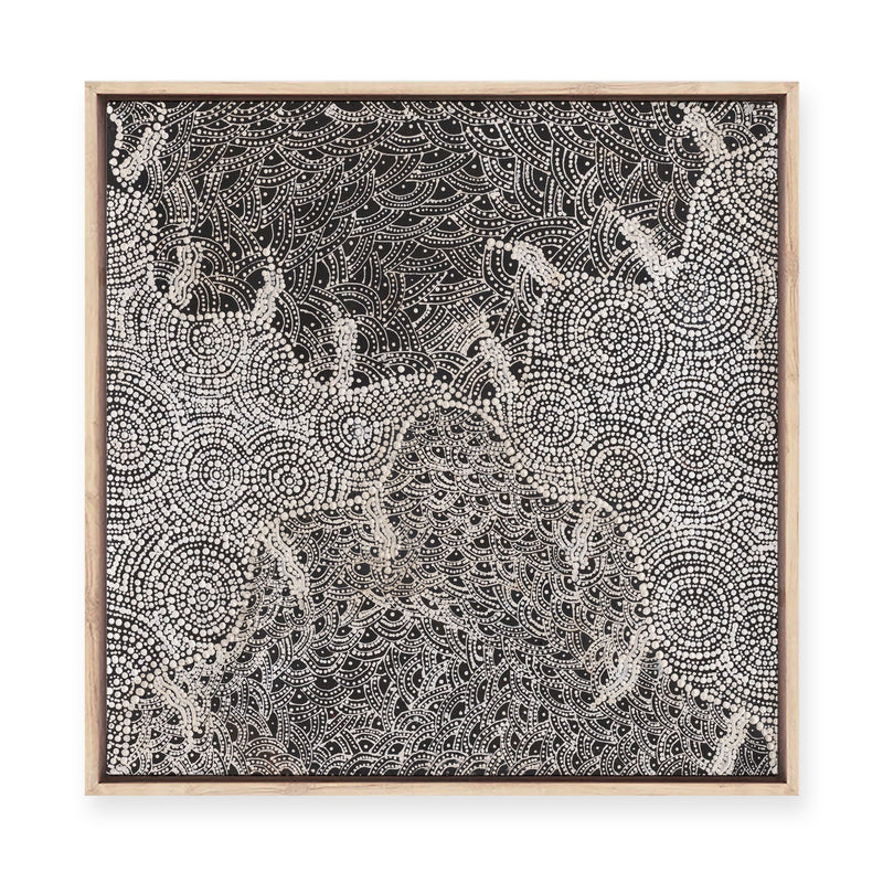 Watiya-Warnu Jukurrpa (Seed Dreaming) No.2 | Framed Canvas Print