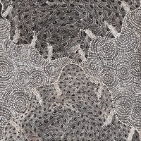 Watiya-Warnu Jukurrpa (Seed Dreaming) No.2 | Framed Canvas Print