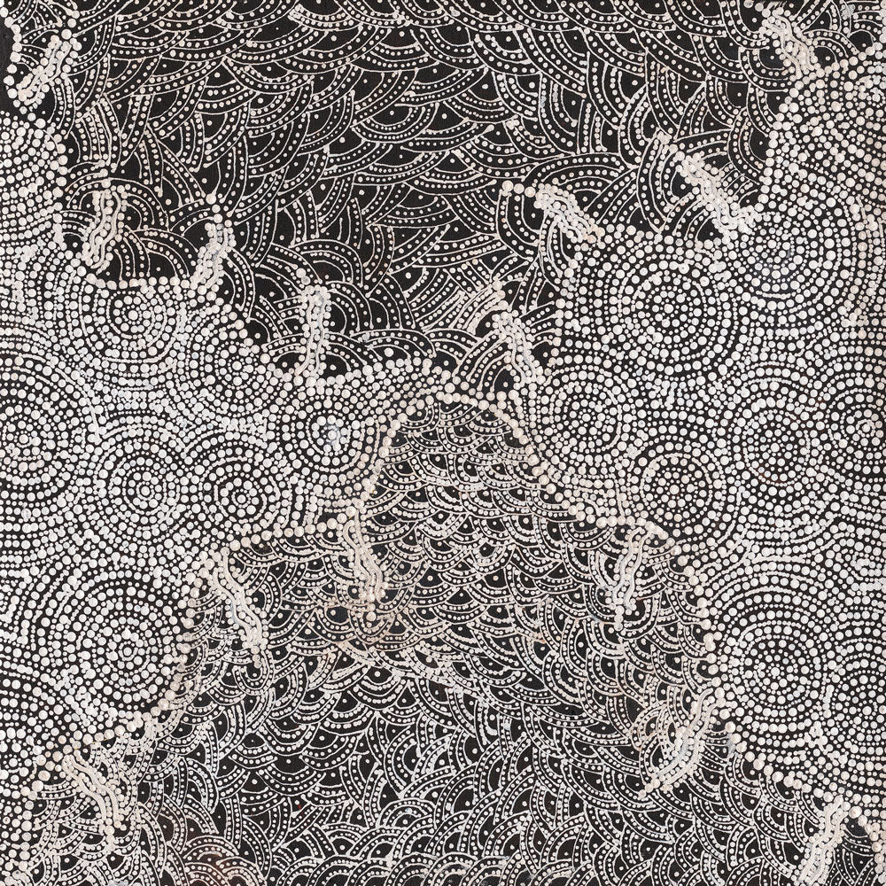 Watiya-Warnu Jukurrpa (Seed Dreaming) No.2 | Framed Canvas Print