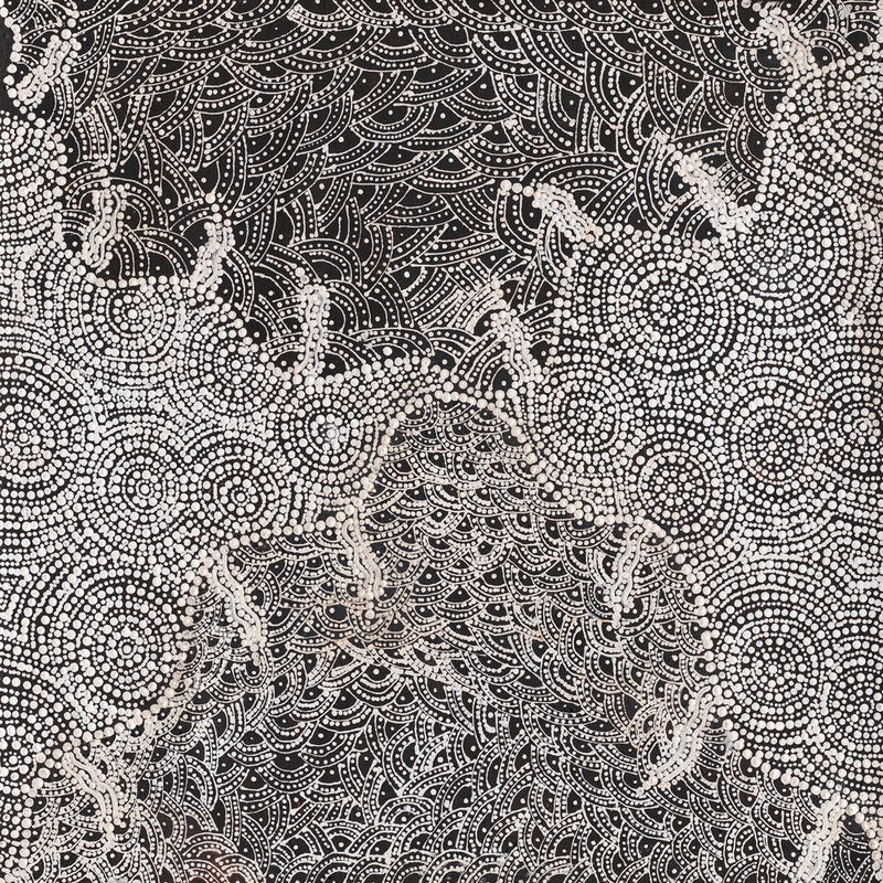 Watiya-Warnu Jukurrpa (Seed Dreaming) No.2