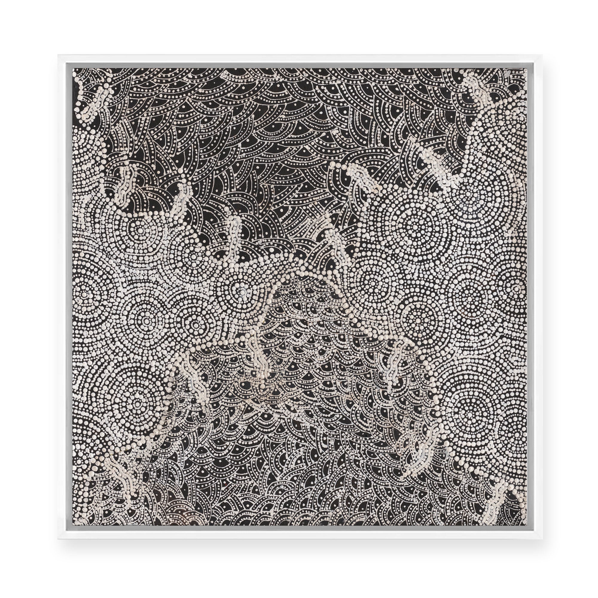 Watiya-Warnu Jukurrpa (Seed Dreaming) No.2 | Framed Canvas Print