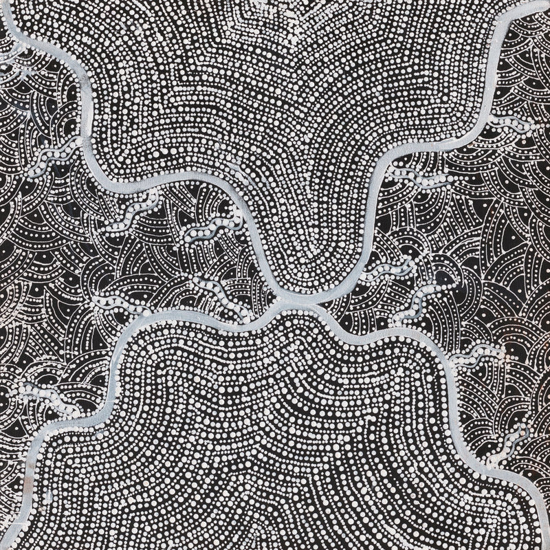 Watiya-Warnu Jukurrpa (Seed Dreaming) No.3 | Framed Canvas Print
