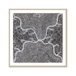 Watiya-Warnu Jukurrpa (Seed Dreaming) No.3