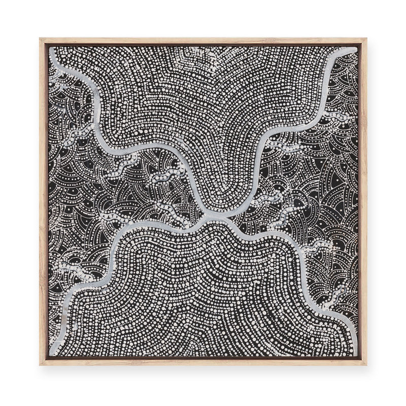 Watiya-Warnu Jukurrpa (Seed Dreaming) No.3 | Framed Canvas Print