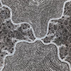 Watiya-Warnu Jukurrpa (Seed Dreaming) No.3