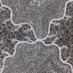Watiya-Warnu Jukurrpa (Seed Dreaming) No.3