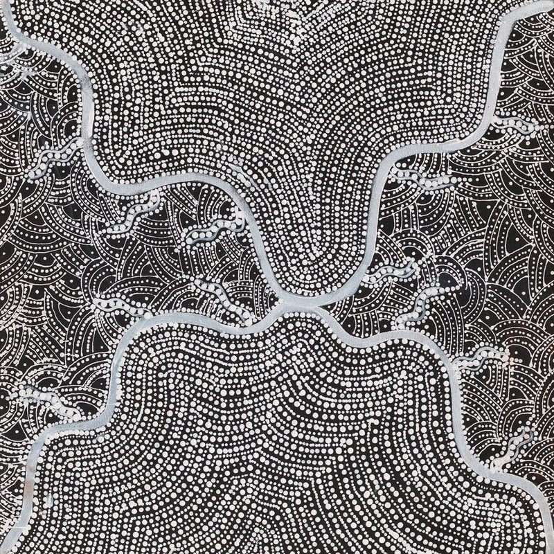 Watiya-Warnu Jukurrpa (Seed Dreaming) No.3