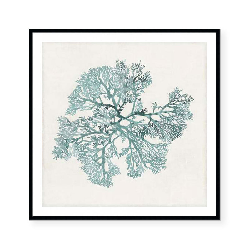 Teal Coral II