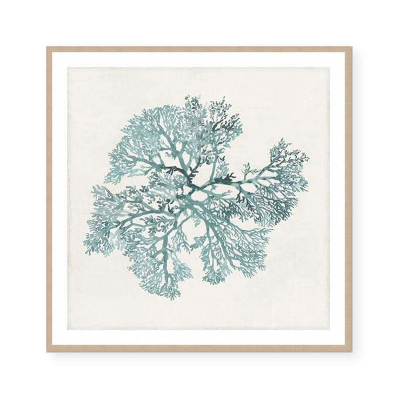 Teal Coral II