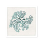 Teal Coral II