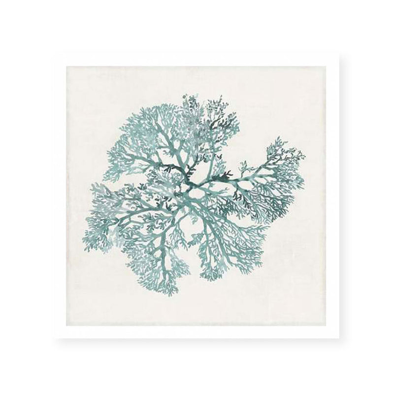Teal Coral II