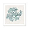 Teal Coral II