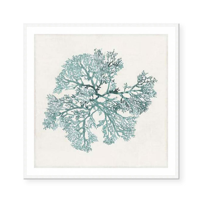Teal Coral II