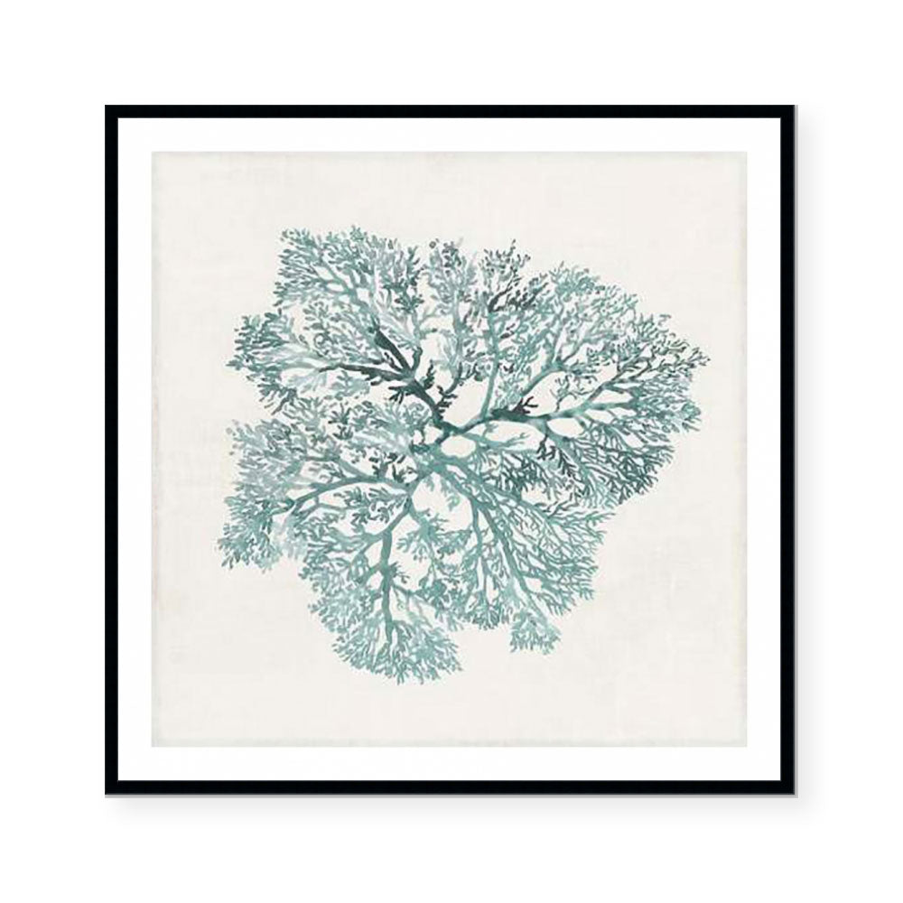 Teal Coral I