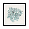 Teal Coral I
