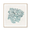 Teal Coral I