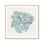 Teal Coral I