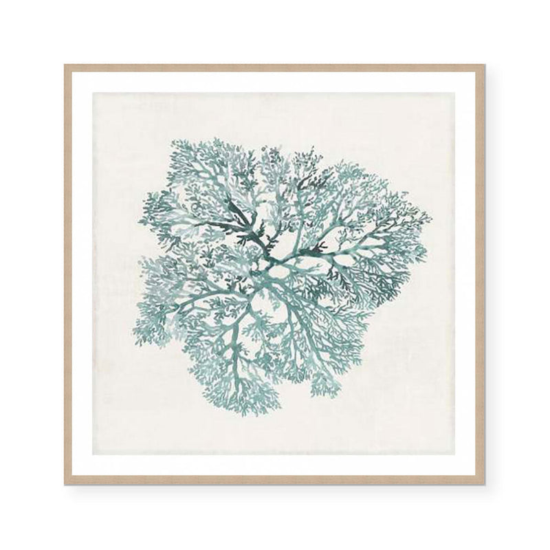 Teal Coral I