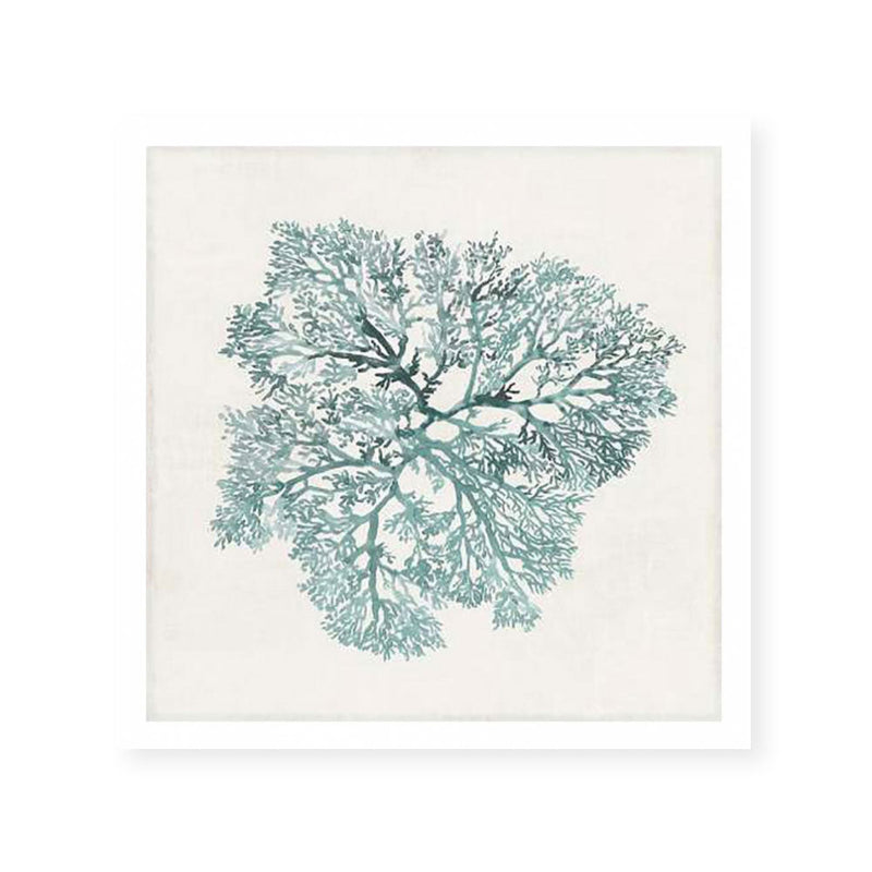 Teal Coral I